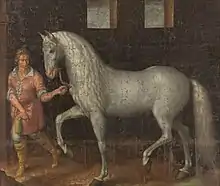 Spanish battle stallion 1603.
