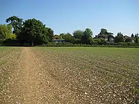 ploughed field