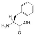 L-Phenylalanine(Phe / F)