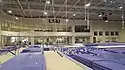 LSU Gymnastics Training Facility gym area