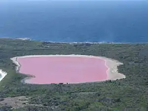 Lake Hillier, Australia, the colour is caused by algae