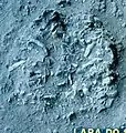 Burial 8. Excavation at phase 5.