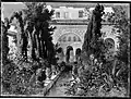 The Garden of the Generalife at Granada
