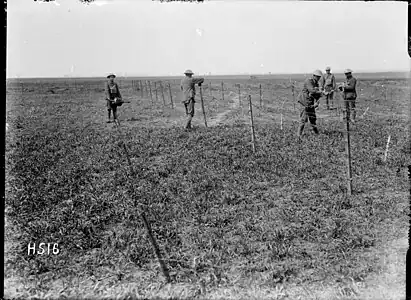 H516. Maori Pioneers constructing a barbed wire entanglement on open ground near Colincamps, 21 April 1918. Photo: Henry Armytage Sanders