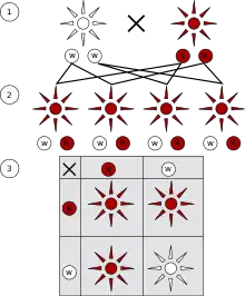 Image 35Mendelian inheritance states characteristics are discrete and are inherited by the parents. This image depicts a monohybrid cross and shows 3 generations: P1 generation (1), F1 generation (2), and F2 generation (3). Each organism inherits two alleles, one from each parent, that make up the genotype. The observed characteristic, the phenotype, is determined by the dominant allele in the genotype. In this monohybrid cross the dominant allele encodes for the colour red and the recessive allele encodes for the colour white. (from History of genetics)
