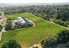 Merry Edwards Winery