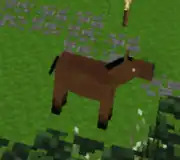 A horse from mobs_animal mod