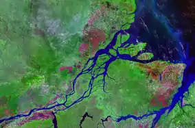 Image 7The Amazon River in Brazil. (from Ecoregion)