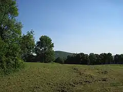 Mount Ararat viewed from the nameless hill above Elkview.