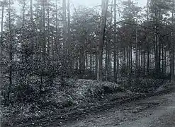 The railway ~ before 1920 (Chemin des Deux Montagnes).