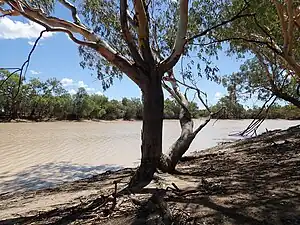 King Charlie Waterhole