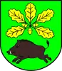 Coat of arms of Stary Dzików