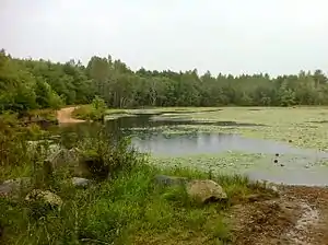 Pachaug Trail – 2 Great Meadow Brook Pond, Voluntown, CT.