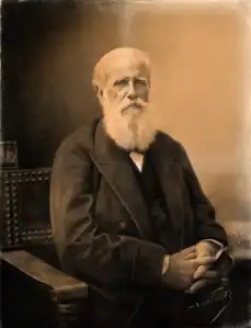 Pedro II of Brazil