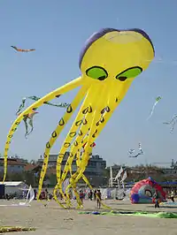 Launch of ram-air inflated Peter Lynn single-line kite, shaped like an octopus and 90 feet (27&nbsp;m) long