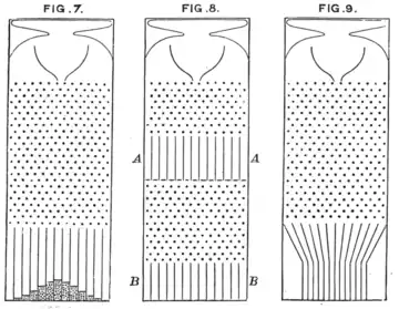 The quincunx, as drawn by Sir Francis Galton