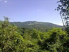 Măgura Priei Peak&nbsp;[ro]