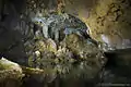 Image 8Rio Frio Cave (from Tourism in Belize)