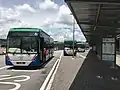 Feeder buses at the bus stop next to the station