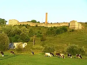 Сатанівський замок. Сучасний вигляд
