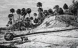 Image 20A shell midden at Enterprise, Florida in 1875. (from History of Florida)