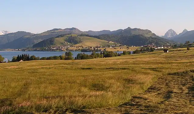 Image 50Northern shore meadows of Sihlsee, an artificial lake near Einsiedeln in the Canton of Schwyz, Switzerland. (Credit: Markus Bernet.) (from Portal:Earth sciences/Selected pictures)