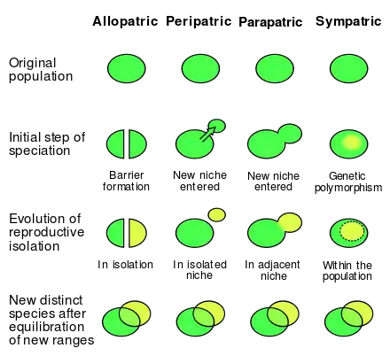 Image 22Comparison of allopatric, peripatric, parapatric and sympatric speciation (from Speciation)