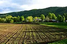 Image 10A plowed field in Bethel, Vermont (from New England)