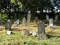 Old Jewish Cemetery (19th century, Nová Terasa)