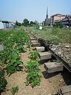 In Pyeong-dong, Suwon37°15′02″N 126°58′58″E﻿ / ﻿37.25056°N 126.98278°E﻿ / 37.25056; 126.98278