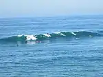 Surfers off of Huntington Beach