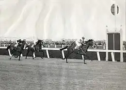 Talking, 1936 winner