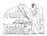Image 26Tesem, an ancient Egyptian sight-hound (from Dog breed)