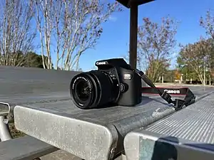 The Canon EOS Rebel T7 (2000D) Sitting on a Park Bench