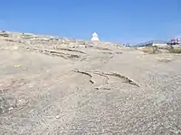 A light and dark grey area of ground with sporadic ledges and a rough texture. A white rooftop and park concessions are visible in the background.