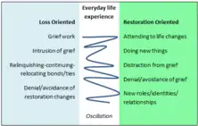 Left side is blue, labelled "Loss Oriented," and includes text listing grief work, intrusion of grief, relinquishing-continuing-relocating bonds/ties, and denial/avoidance of restoration changes. Right side is green, labelled "Restoration Oriented," and includes text listing attending to life changes, doing new things, distraction from grief, denial/avoidance of grief, and new roles/identities/relationships. Middle is white, labelled "Everyday life experiences," with a blue squiggly line zig-zagging between the loss- and restoration-oriented sides.