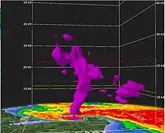Image 6Radar 3D volume scan of the supercell showing debris lofted over 30,000 feet (9.1 km) in the air as the tornado struck Mayfield. (from 2021 Western Kentucky tornado)