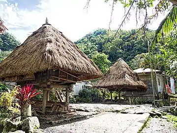 The raised bale houses of the Ifugao people.