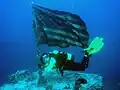 Diver posing near flag on deck