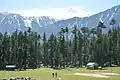 Pine forests occur in Swat at altitudes over 5,000 feet (1,500&nbsp;m)