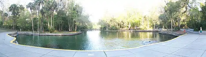 Swimming area at Wekiwa Springs State Park