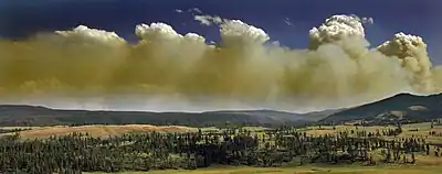 Pyrocumulus clouds  (September 2009)